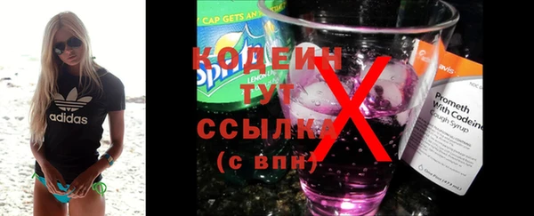 соль ск Инсар