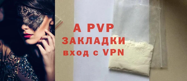 соль ск Инсар