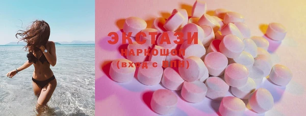 соль ск Инсар