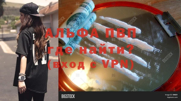 соль ск Инсар