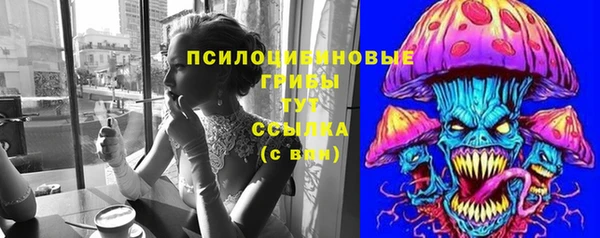 соль ск Инсар
