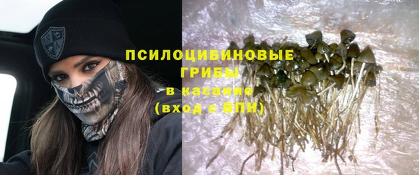 прущая мука Инта