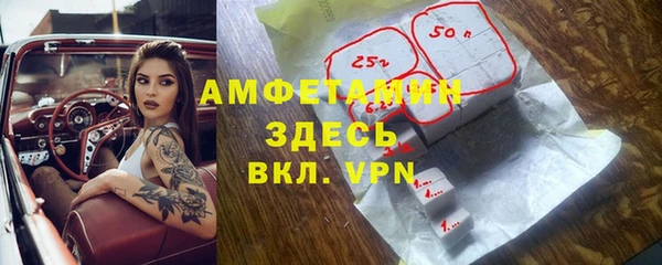 прущая мука Инта