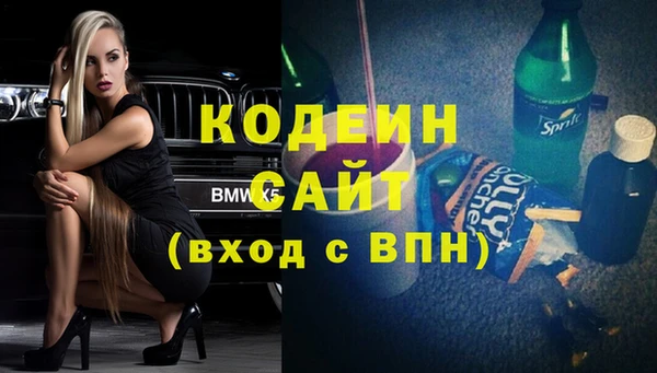 соль ск Инсар