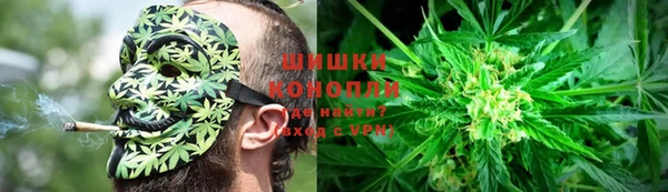 прущая мука Инта