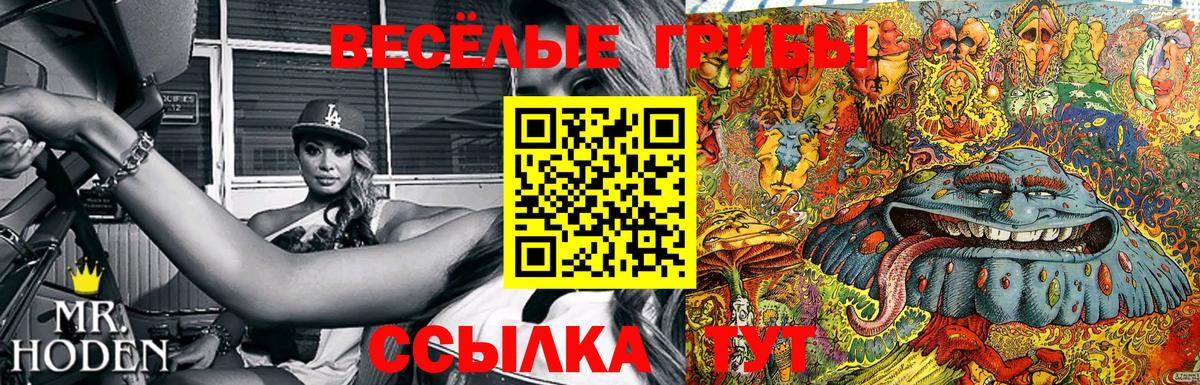 Псилоцибиновые грибы Magic Shrooms Новочеркасск